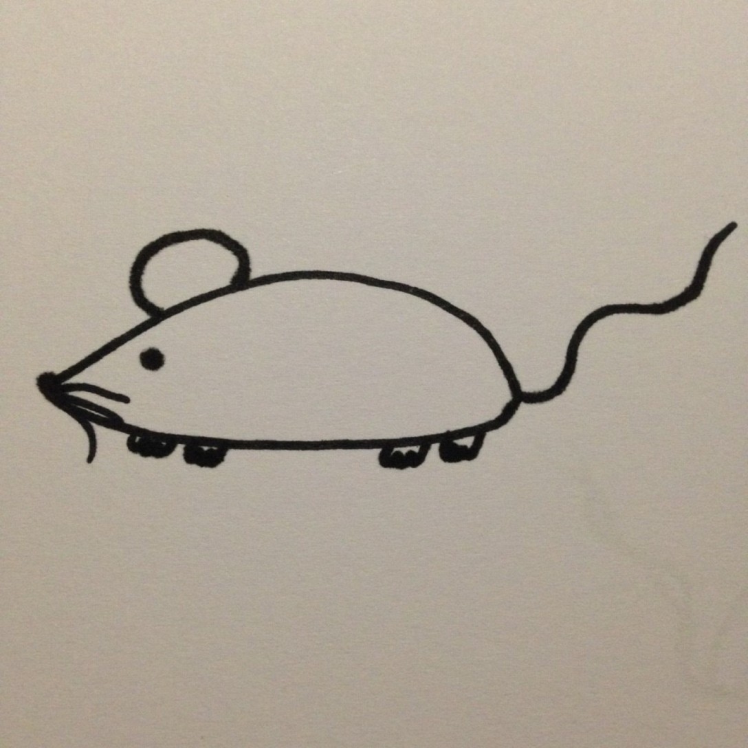 Tuto : J'apprend à dessiner une souris (facile) – Ideedactivite.com